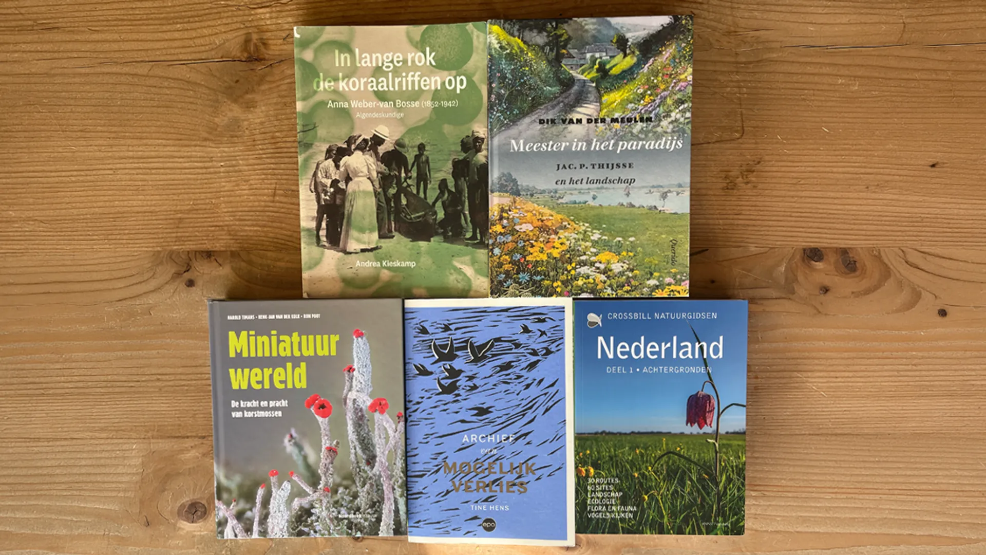 nbprijs shortlist PLAAT