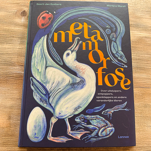 Metamorfose van Geert-Jan Roebers en Merlijne Marell | Nominatie Natuurboekenprijs 2025