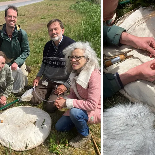 Afbeelding van Grote rietsigaargalvlieg, dichter van Pampus, blauwe reiger en alle overige onderwerpen