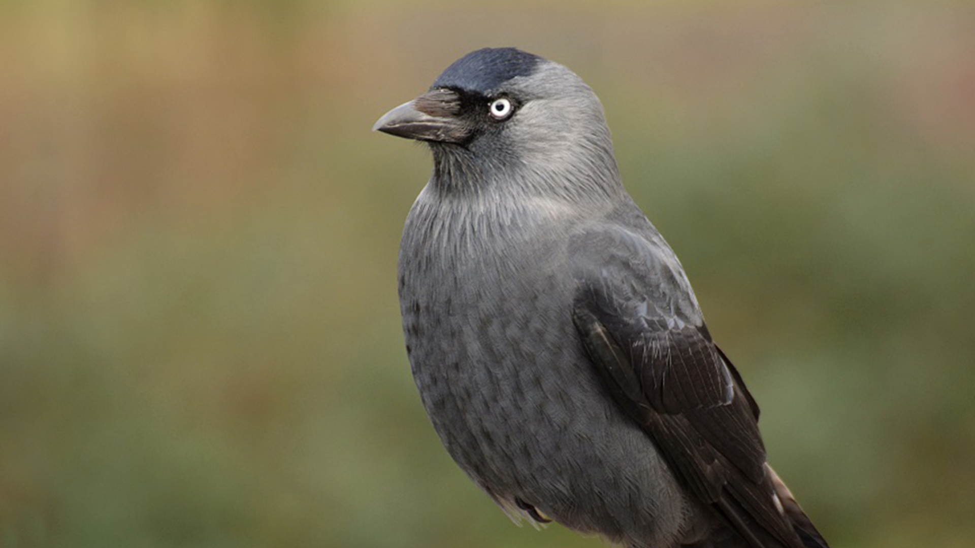 4b8031bd4c730fddba4657e87b0b546b