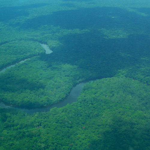 Koolstofkoorts: over een verborgen klimaatbom in de Congo