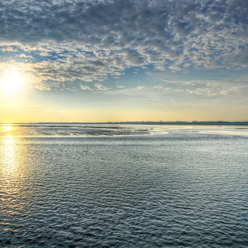 Afbeelding van Greenpeace: meer actie nodig om oceanen te beschermen
