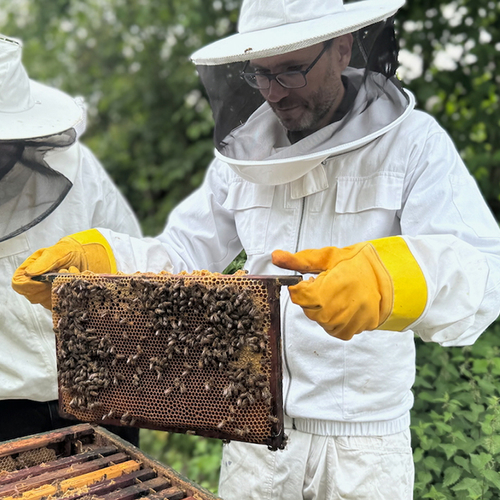 Afbeelding van Dokters van nature van Jaap de Roode | Nominatie Natuurboekenprijs 2025