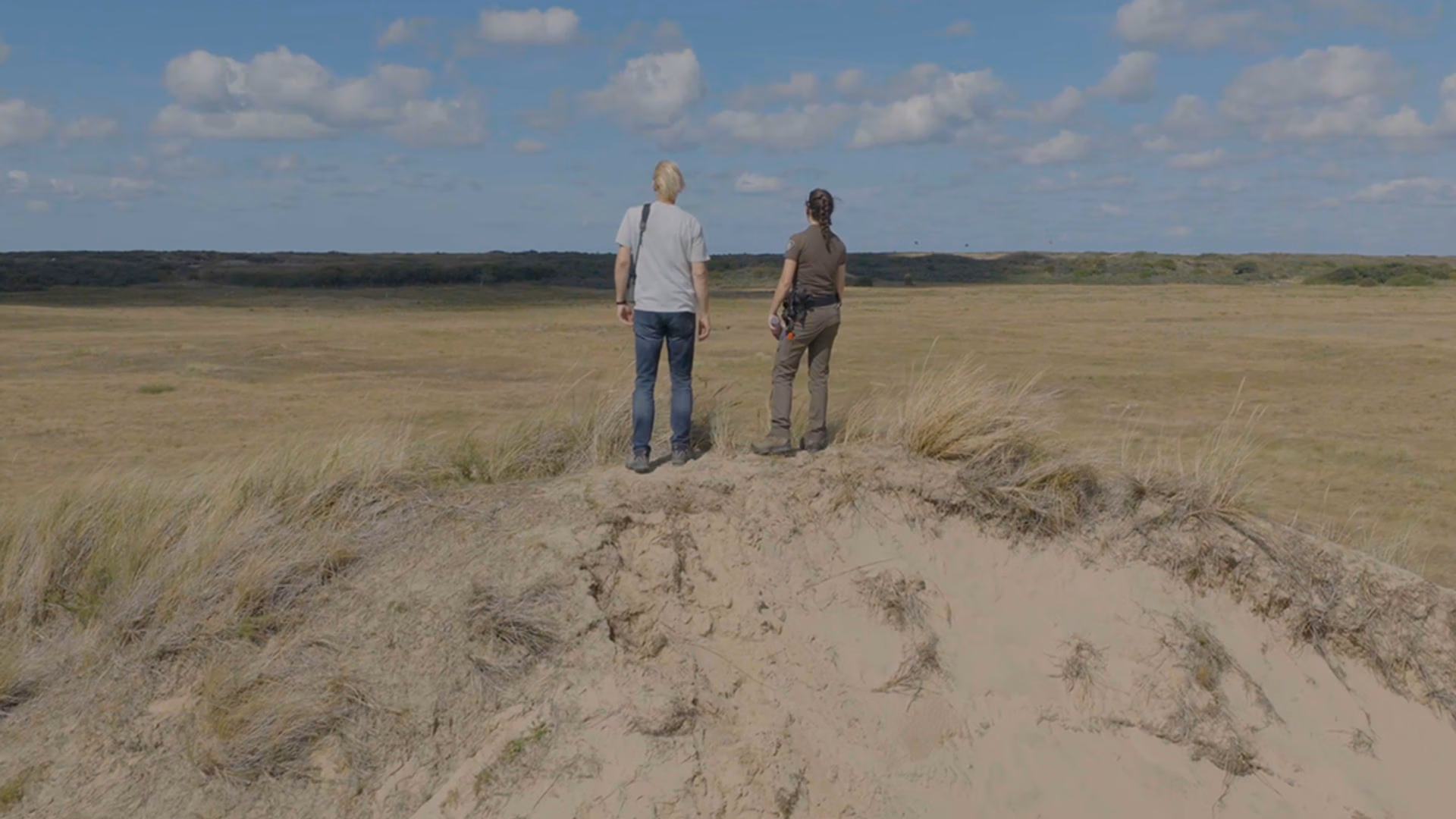 zure duinen