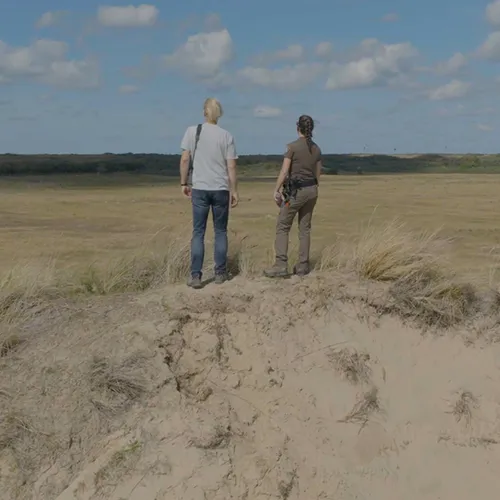 Afbeelding van Zuurpruim? Nee, zuur duin!
