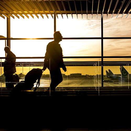 Smokkelaars aangehouden op Schiphol met bagage vol broedeieren