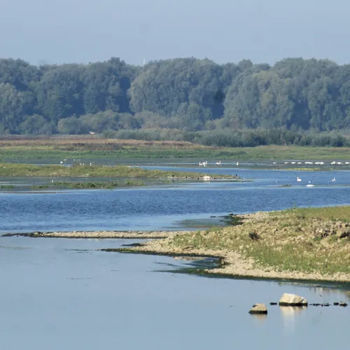 Afbeelding van Drinkwater uit de Maas vraagt om betere bescherming
