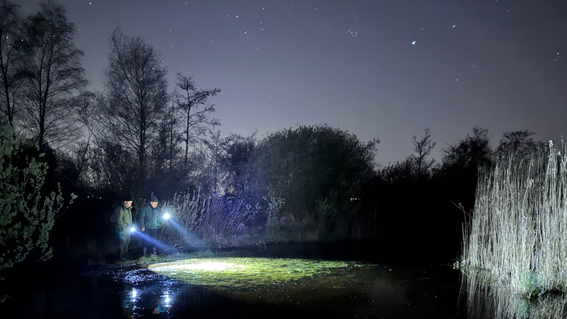 Arjan van der Lugt en Richard Slagboom zoeken heikikkers (c) Rob Buiter