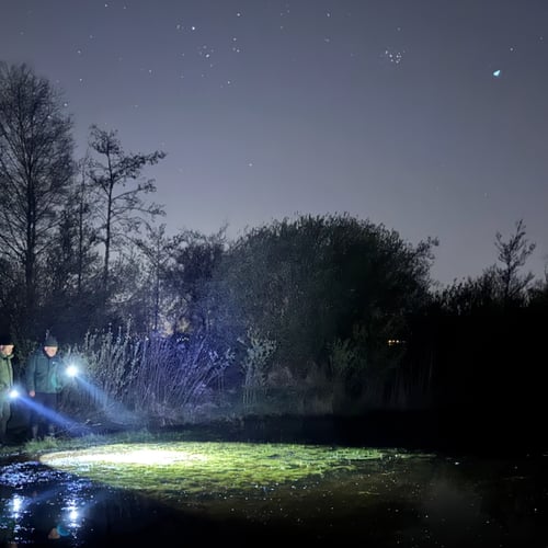 Afbeelding van De heikikkers zijn vroeg dit jaar!