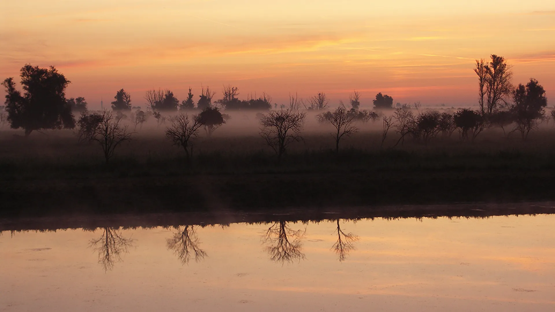 oostvaardersplassen