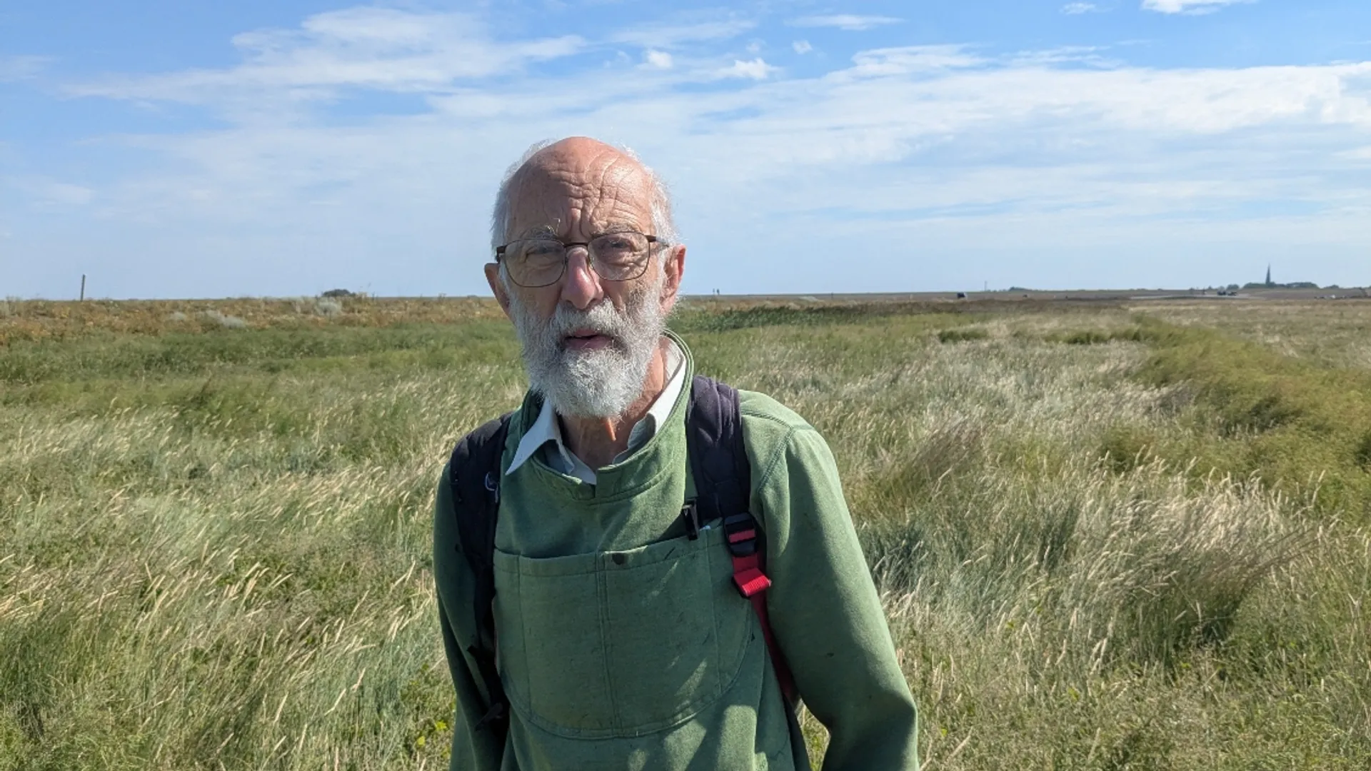 jaap de vlas