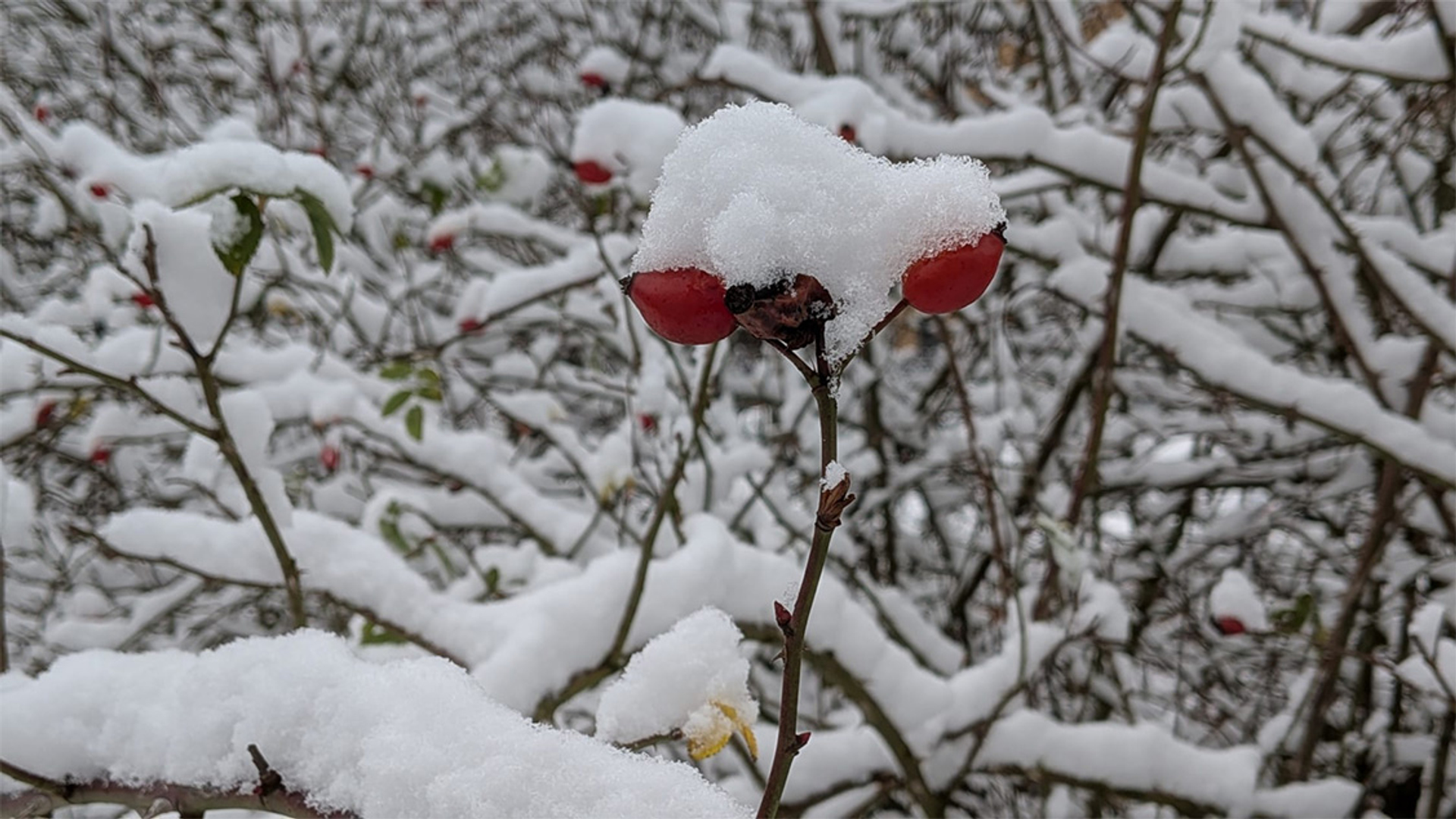 WhatsApp Image 2026-01-30 at 11.26.23