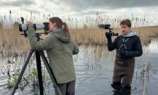 Afbeelding van Op pad met Menno Bentveld: Achter de schermen