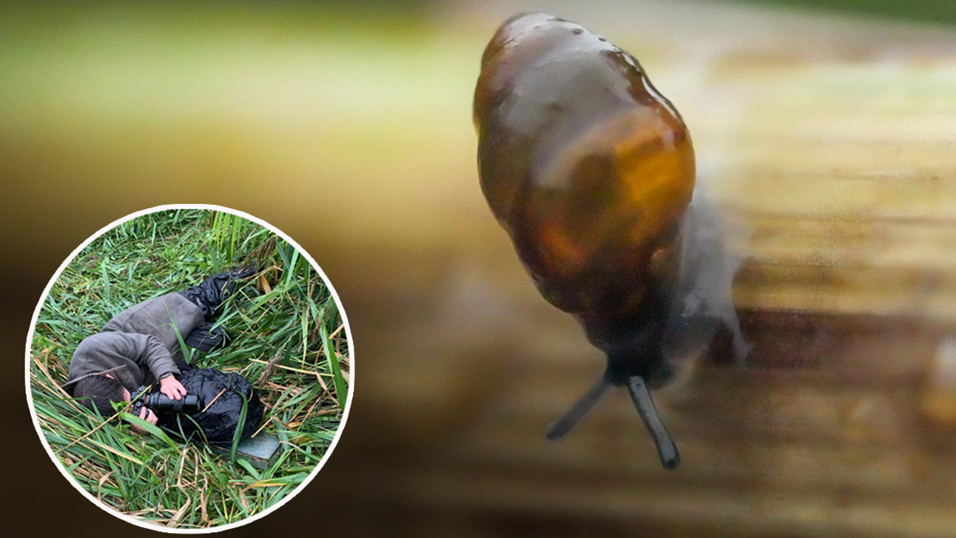 Natuurfilmer roel en slakje