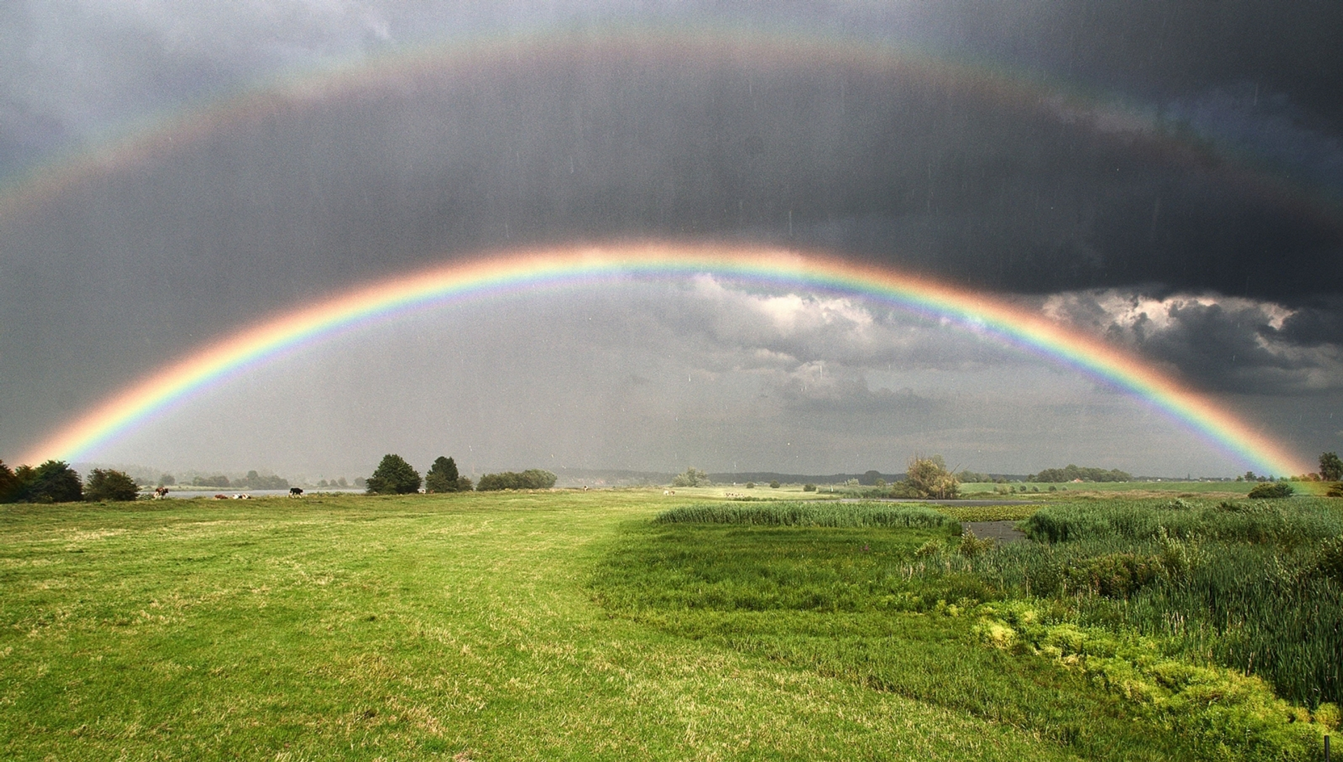 regen_hagel_zon_en_een_regenboog_5f00880a5e5d7_large