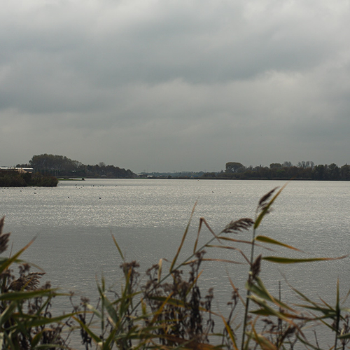 Oevers van Valkenburgse meer zijn veilig, behalve het ingestorte deel