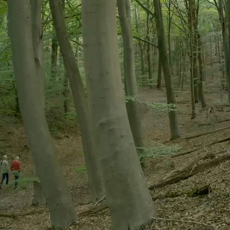 Afbeelding van Vroege Vogels TV | 2 november 2025 | Mooker Stuwwal