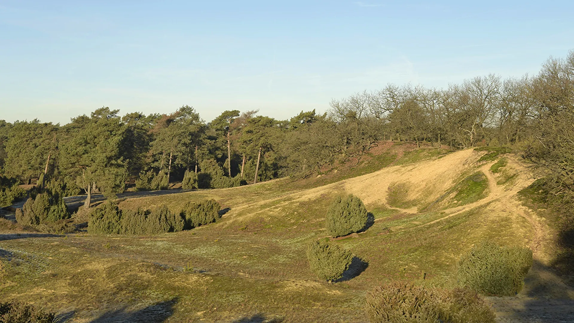 boshuizerbergen_HLI8761