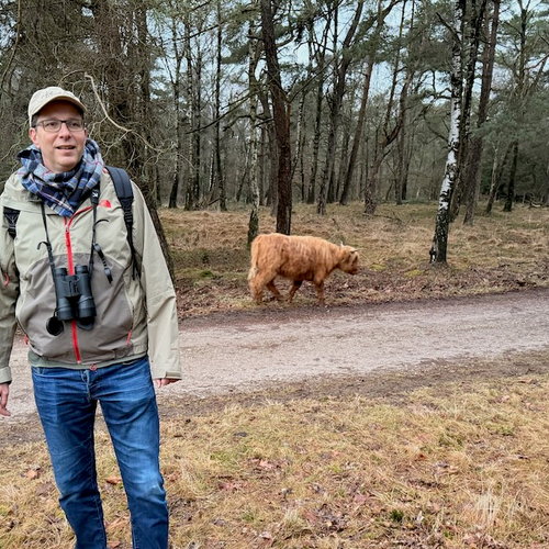 Wild spotten in het Deelerwoud