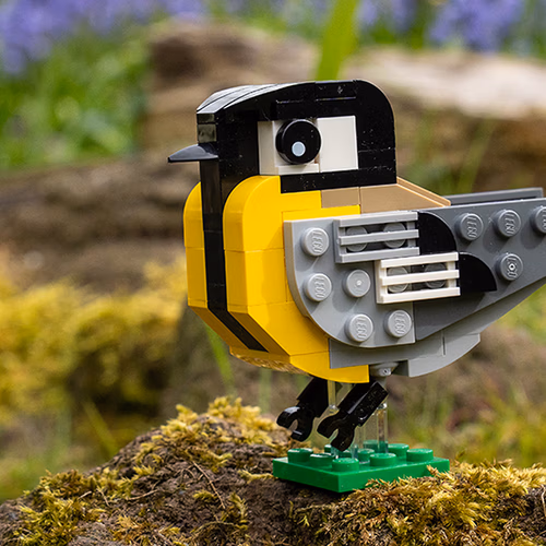 Vogels van bouwstenen, Beleef de lente, Greppelland en alle overige onderwerpen