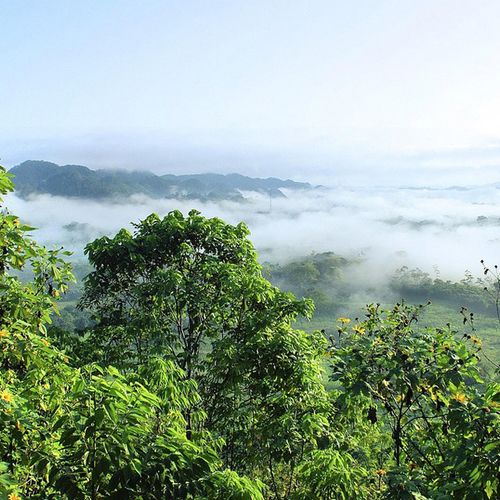 Klimaattop COP30 in Belém Brazilië | Overzicht dag 2