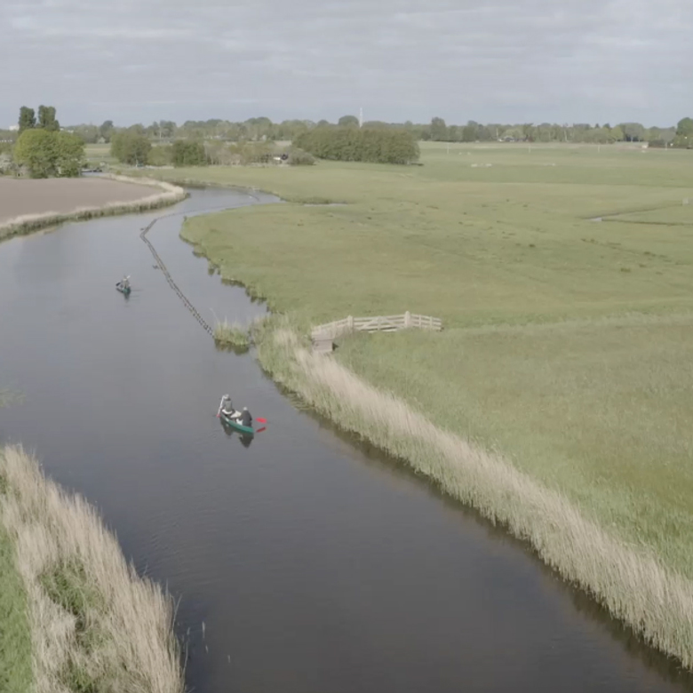 Afbeelding van Vroege Vogels TV | 15 juni 2025 | Het Oer-IJ