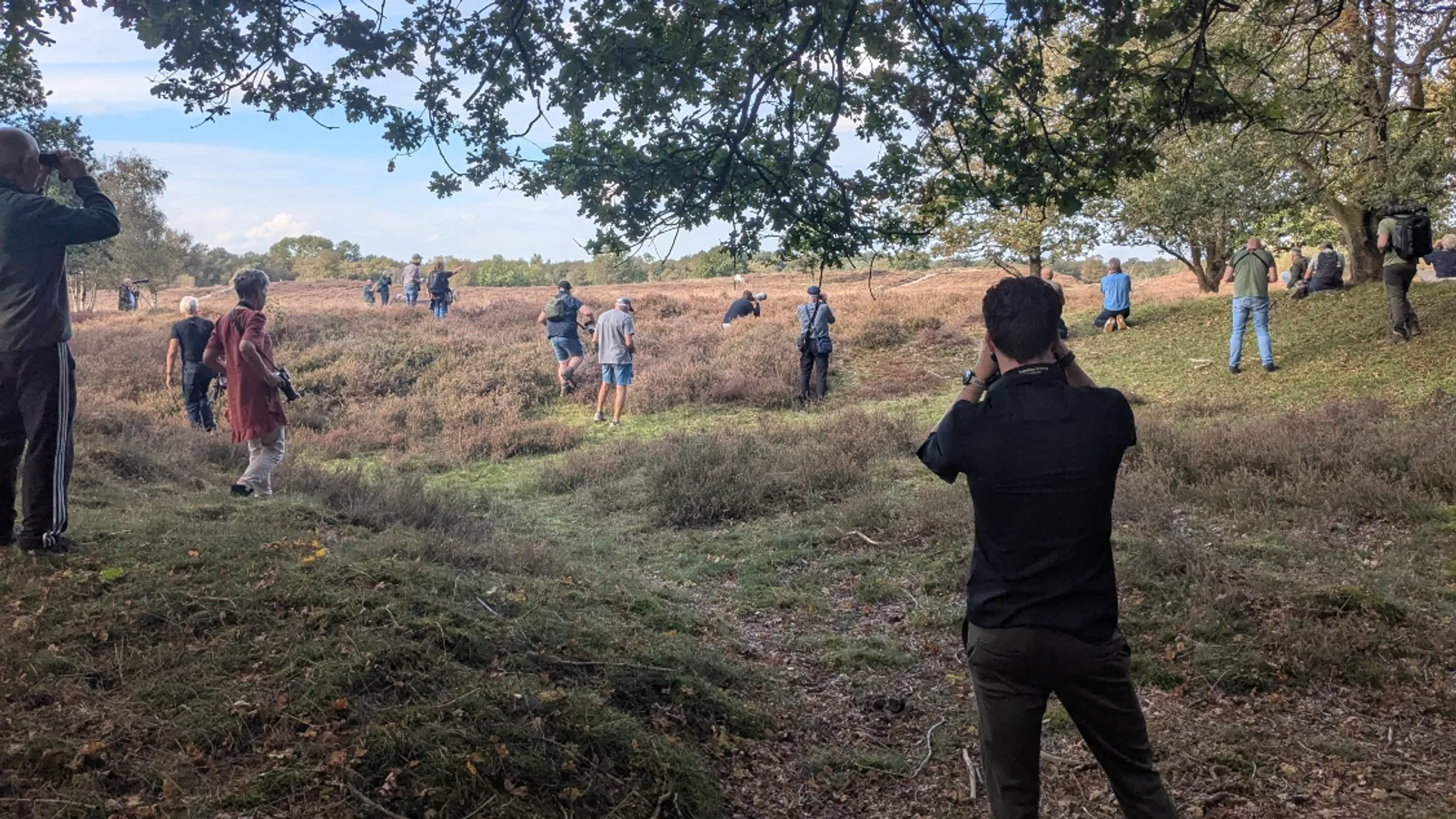 twitchers bij notenkraker