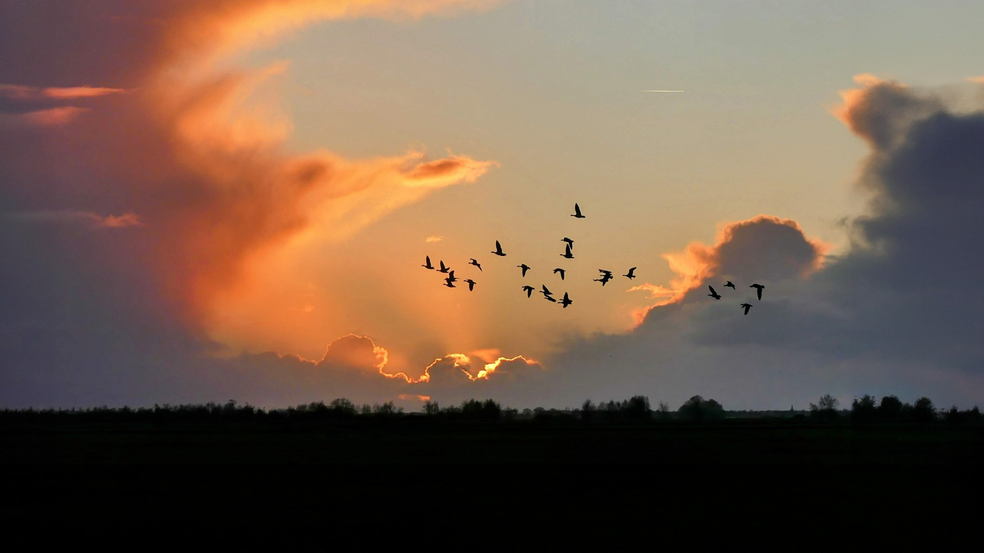 ganzen bij zonsondergang - aangepast voor home
