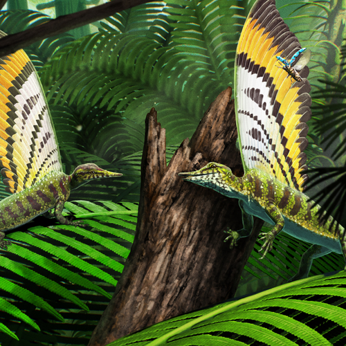 Prehistorisch reptiel met opvallende kam, kwelwater en andere onderwerpen