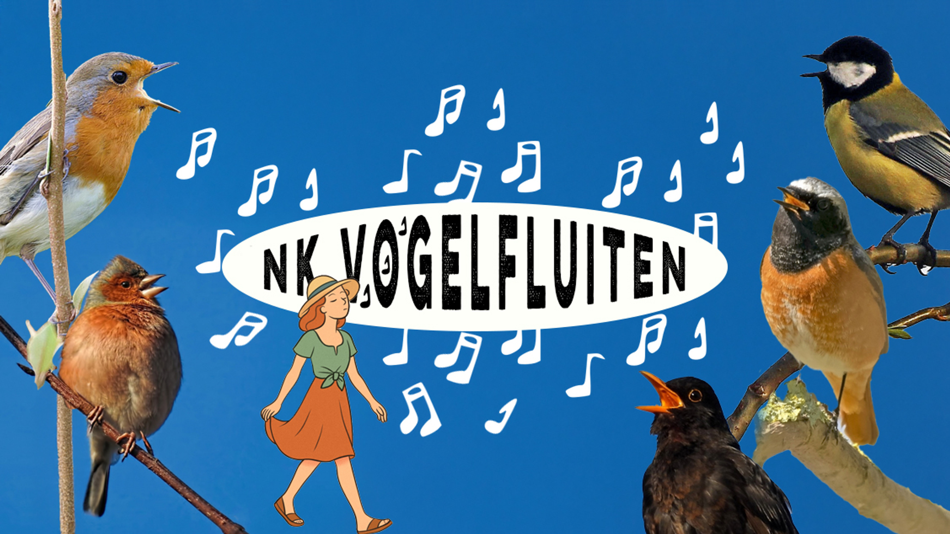 nk vogelfluiten