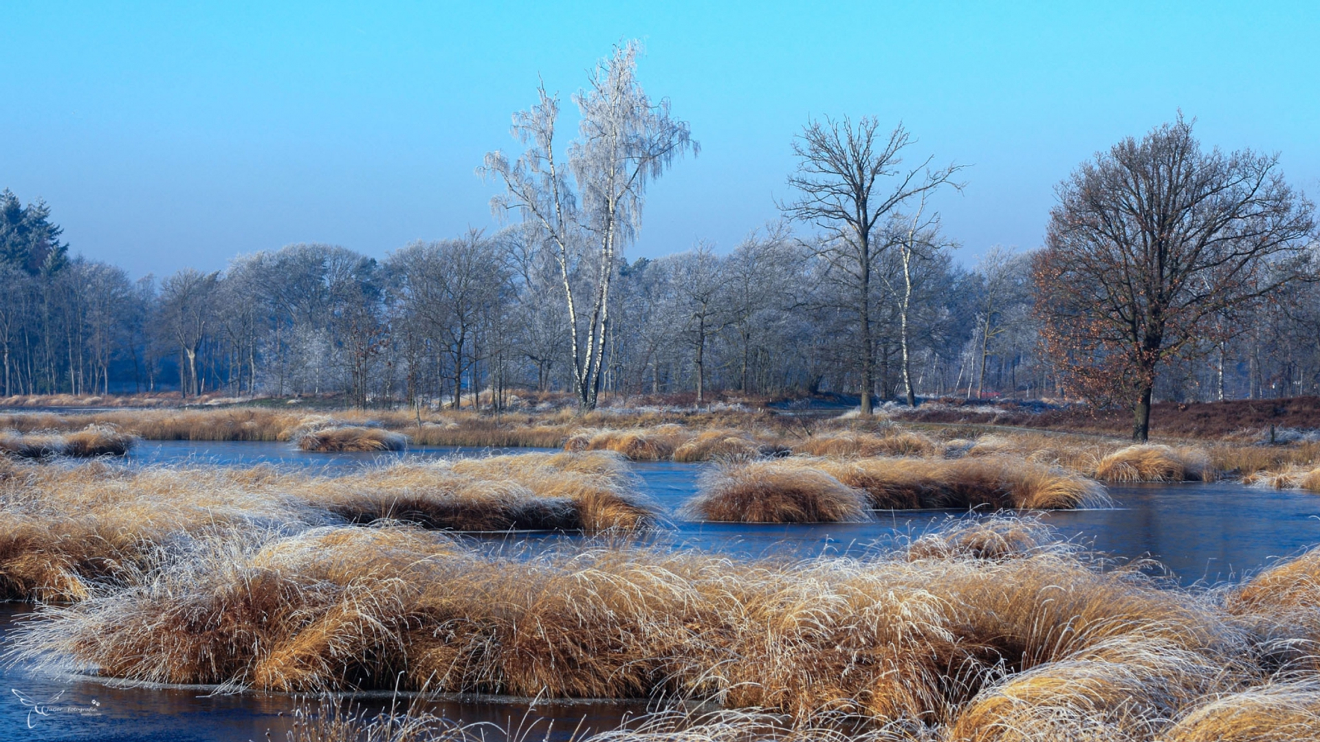 hatertse- en overasseltse vennen Gelderland