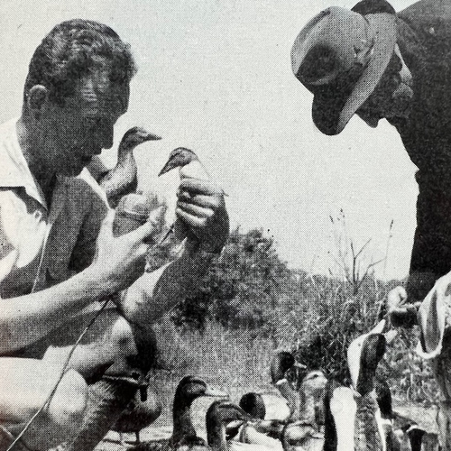 70 jaar natuur op de radio
