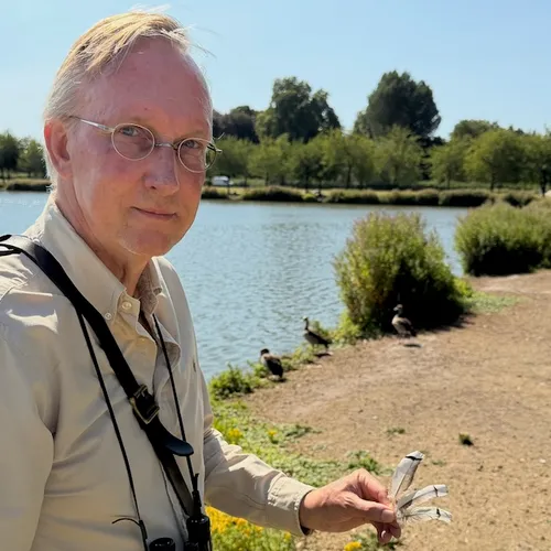 Afbeelding van Portret Kees Moeliker: van nijlgans tot bermeend