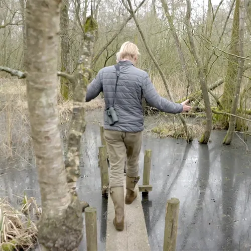Afbeelding van Lettelberterpetten: uniek laagveenmoeras gevormd door de mens