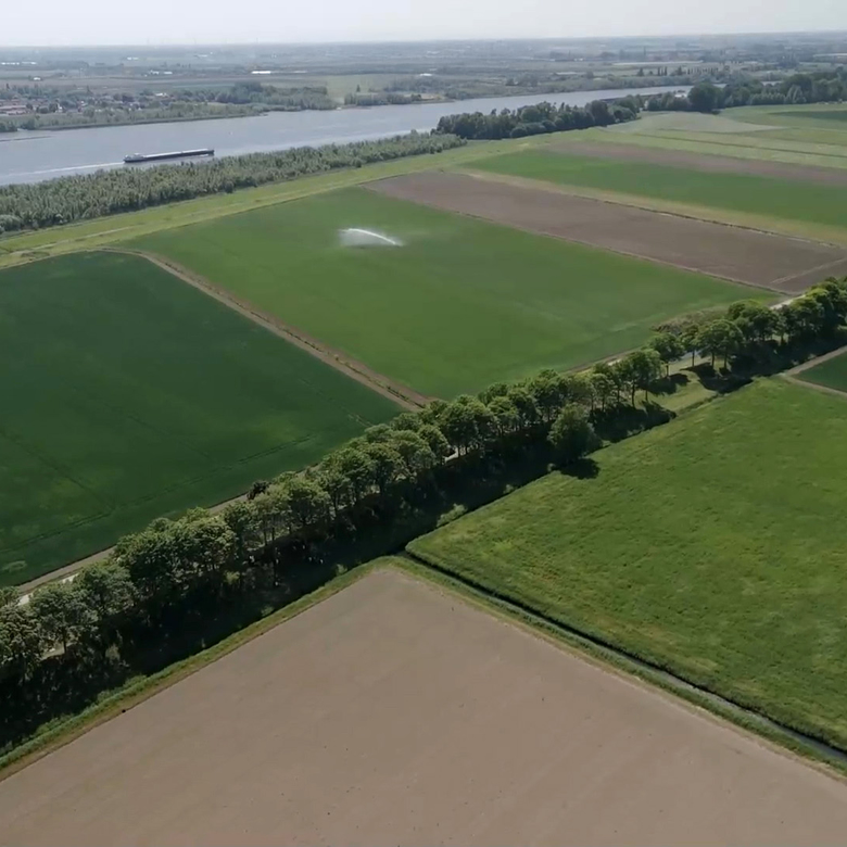Afbeelding van Vroege Vogels TV | 22 juni 2025 | Buijtenland van Rhoon