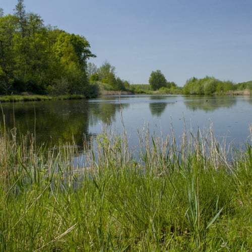 Verbod om water op te pompen in Limburg en Midden-Brabant