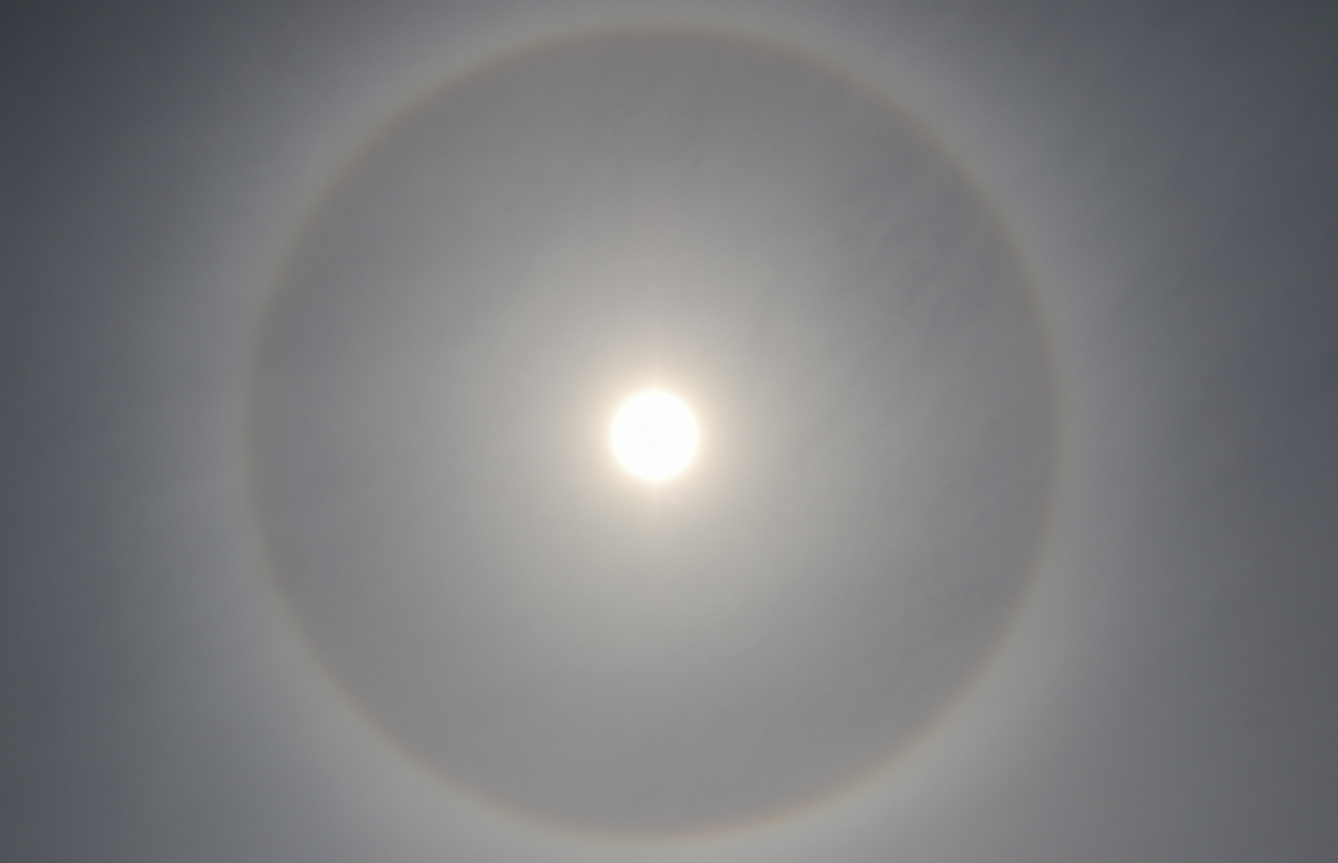 een_22_graden_halo_rond_de_zon_60a69d8931658_large
