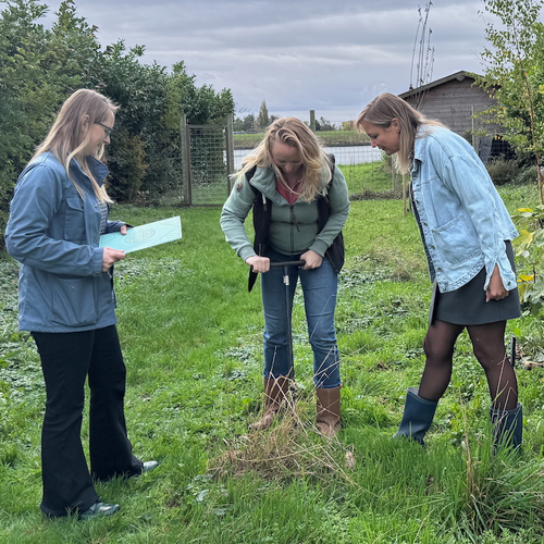 Tuinrangers helpen Nederland te vergroenen