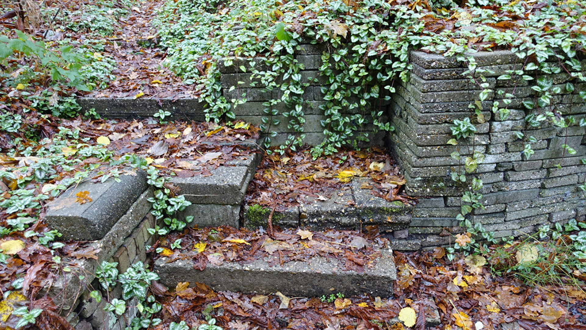 ecokathedraal