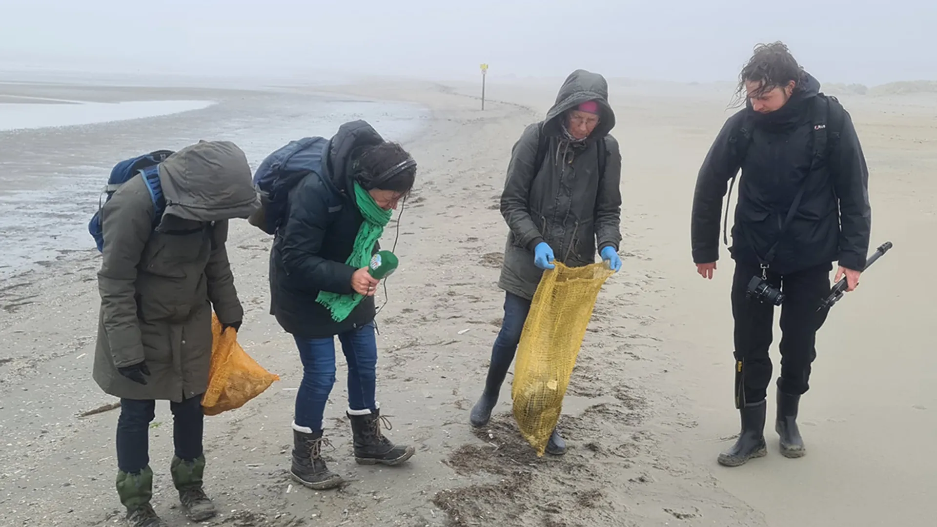 Afbeelding van Strandopruimers rapen elke week afval in de Kwade Hoek + filmpje