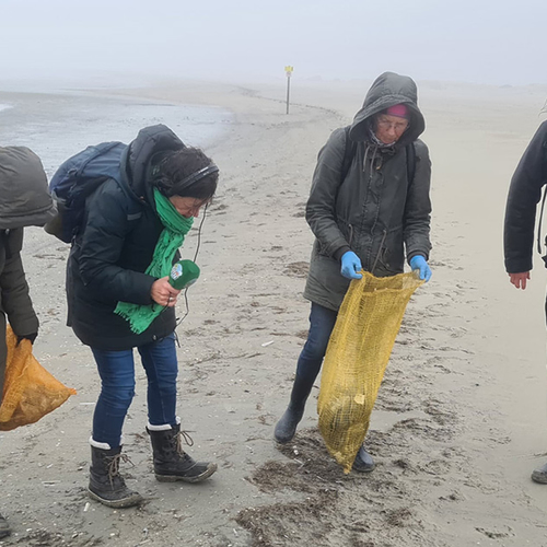 Afbeelding van Strandopruimers rapen elke week afval in de Kwade Hoek + filmpje