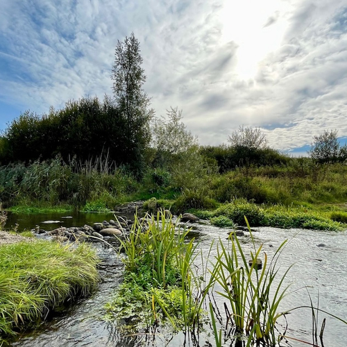 Een halve eeuw natuurherstel in Drenthe