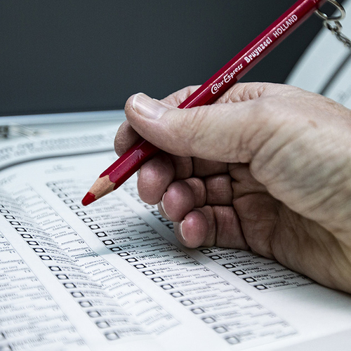 Afbeelding van Gemeenteraadsverkiezingen: hoe staat het ervoor met groen beleid?