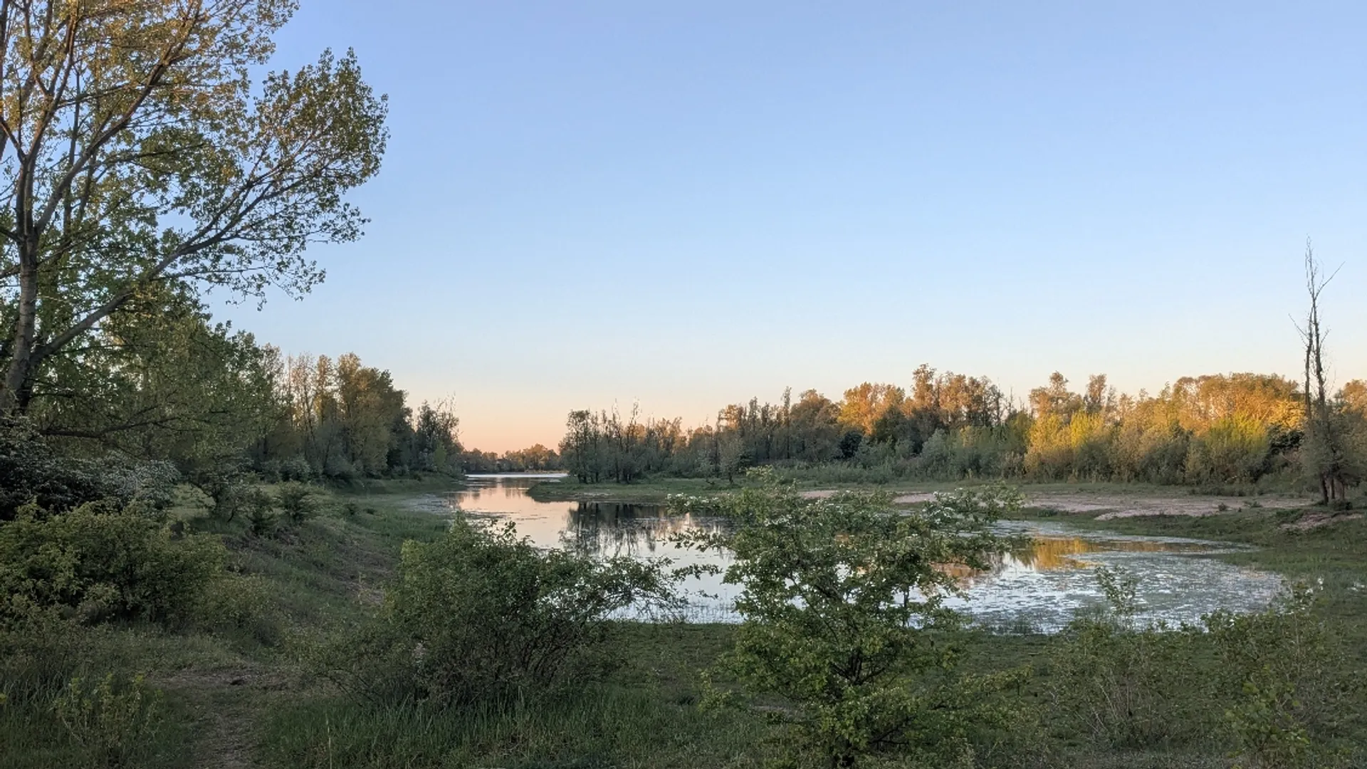millingerwaard