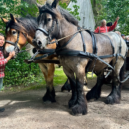Afbeelding van Op pad met Menno: Paardenmeisje