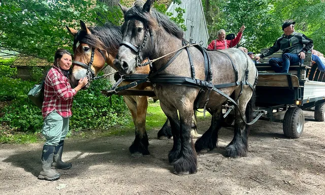 Afbeelding van Op pad met Menno Bentveld: Paardenmeisje