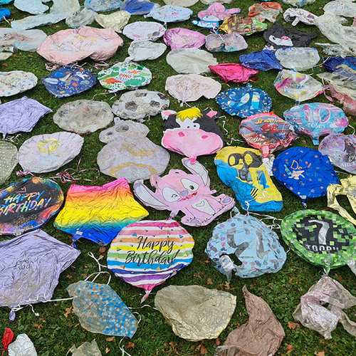 Ernstige vervuiling door ballonnen op het strand van de Kwade Hoek