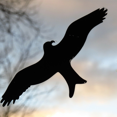 Red vogels van een fatale botsing: maak je ramen zichtbaar