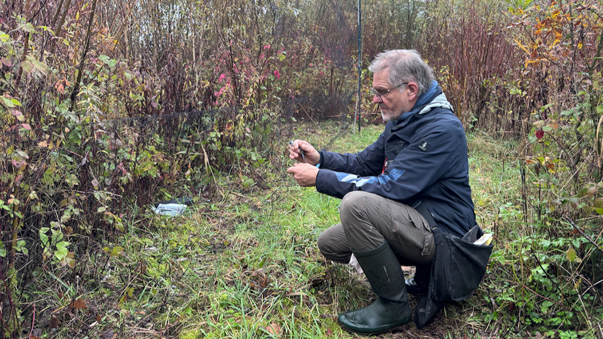 Henri Bouwmeester haalt mezen uit het net