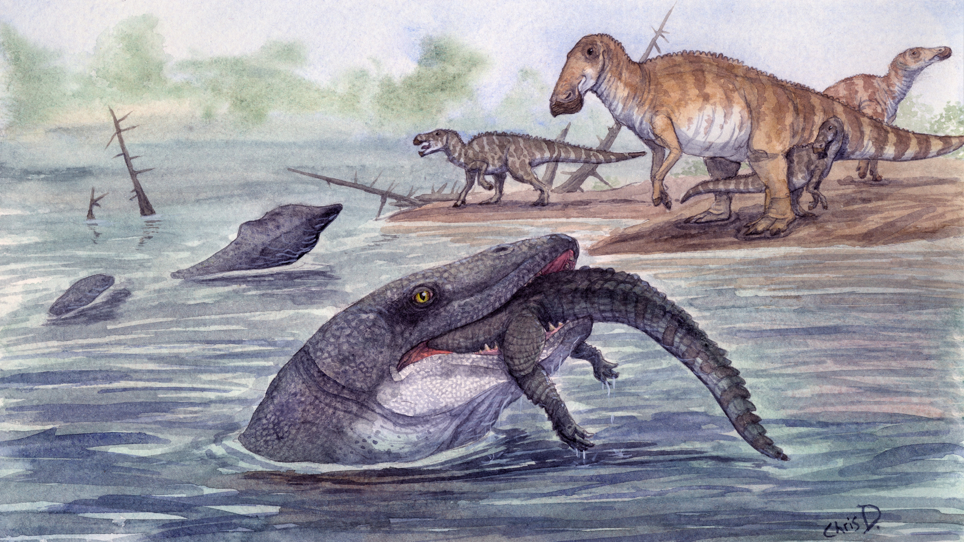 The Hell Creek Mosasaur reconstruction by Christopher DiPiazza